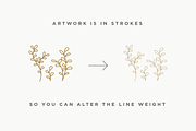 Botanical Elements Set 1, an Illustration by CojoMoxon (Thumbnail 5 of 9)