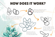 Succulent Builder Procreate Brushkit, a Brush Add-On by Wooly Pronto (Thumbnail 2 of 7)