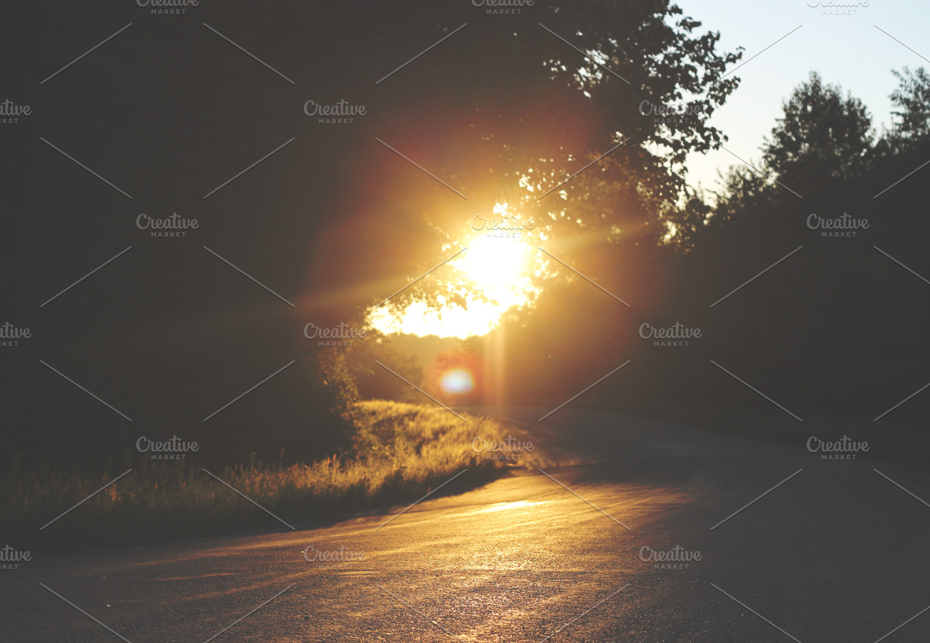 Last Glimpse Of Summer Containing Nature Outdoors And Photography