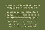 Buffery Reflika Modern Bold Serif, a Serif Font by timelesstype.co (Thumbnail 19 of 20)