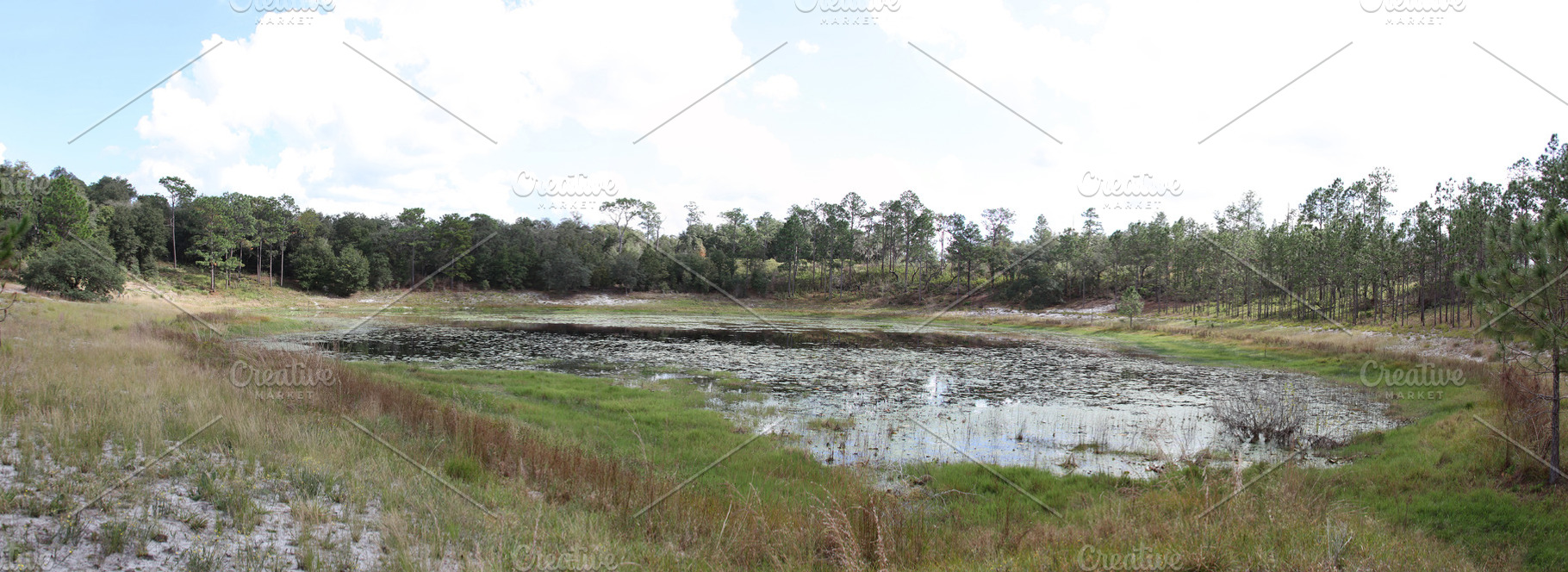 Lake in Gold Head Branch State Park, a Nature Photo by Viktor