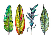 Watercolor palm leaves clipart, an Illustration by Watercolor_Vector Graphic (Thumbnail 8 of 15)