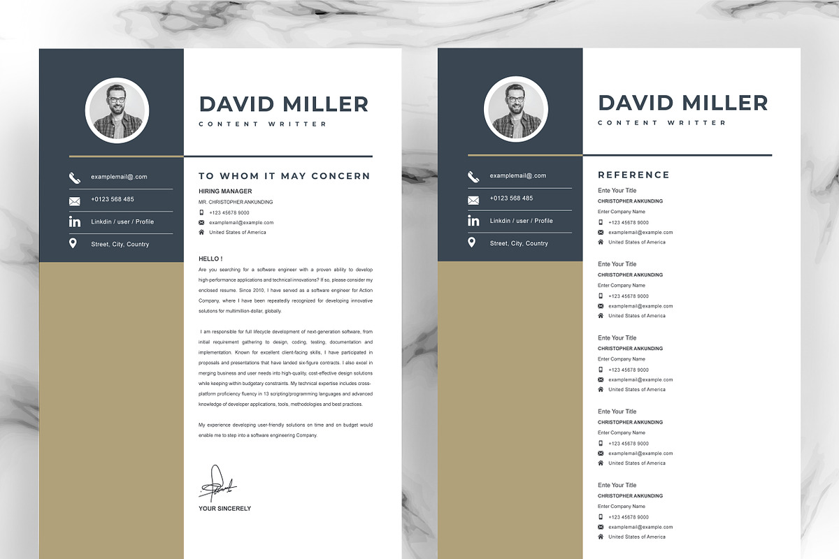JOB WINNING RESUME - 50 TEMPLATES, a Resume Template by ResumeInventor (Photo 85 of 184)
