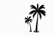 Tropical Palm Tree Silhouette Bundle, an Illustration by Amazin_art (Thumbnail 21 of 21)