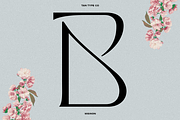 TAN - MIGNON, a Font by TanType (Thumbnail 11 of 17)