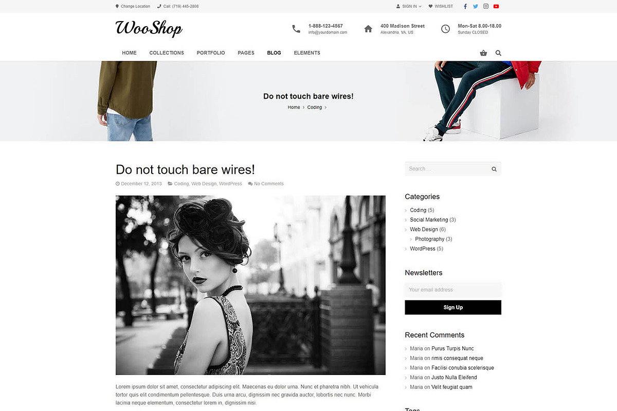 WooShop – eCommerce WordPress Theme, a WordPress Template by Cherry Wordpress Theme (Photo 9 of 9)