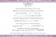 FREEDOM Casablanca font duo, a Script Font by LTNG STUDIO (Thumbnail 7 of 14)