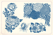 Vintage Flower Illustrations, a Decorative Illustration by Mr Vintage (Thumbnail 12 of 13)
