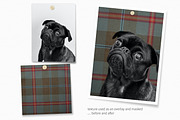 Christmas Tartan Textures, a Texture Graphic by rileyBgraphics (Thumbnail 7 of 8)