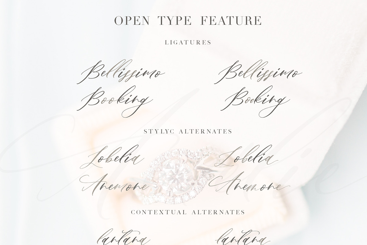 Amelie Script, a Script Font by Calamar Studio (Photo 13 of 15)