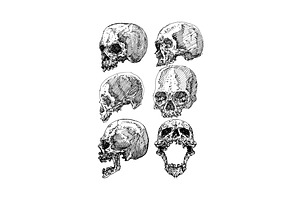 40 Bone Skull Design Sketch