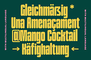 TNSC Bashin - Condensed Sans Serif, a Sans Serif Font by The Native Saint Club (Thumbnail 6 of 12)