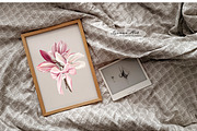 Magnolia Clipart Set, a Seasonal Illustration by Leonaa art (Thumbnail 5 of 10)