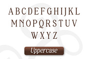 Gradual Adapty, a Serif Font by Rishsketch (Thumbnail 8 of 14)
