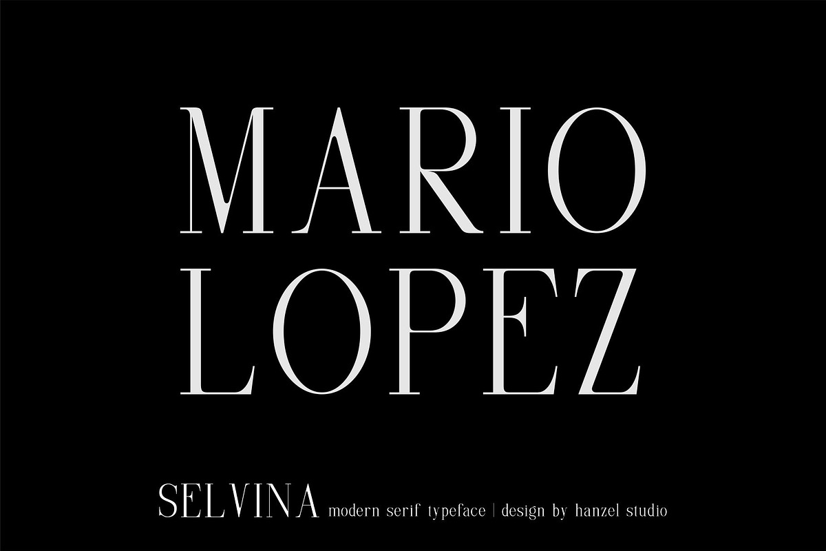Selvina | a classic serif preview 3
