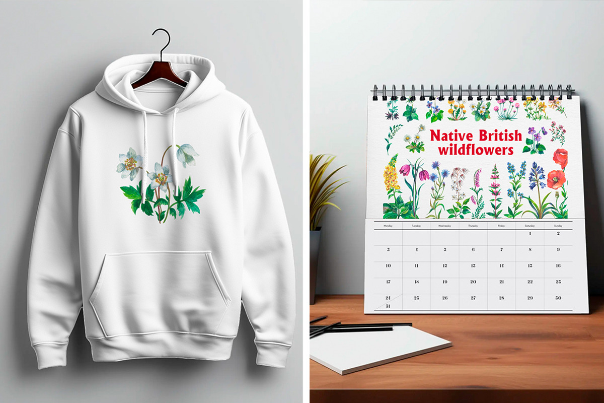 Native British wildflower watercolor, a Decorative Illustration by FITALARTSNEDIGI (Photo 10 of 11)