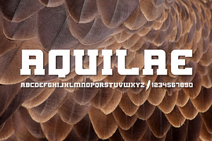 AQUILAE Slab Serif