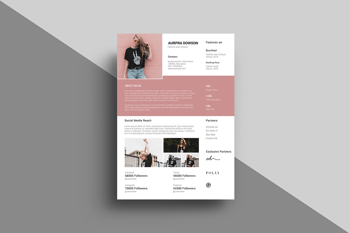 2 page media kit, a Templates & Theme by crazyOWL (Photo 2 of 3)