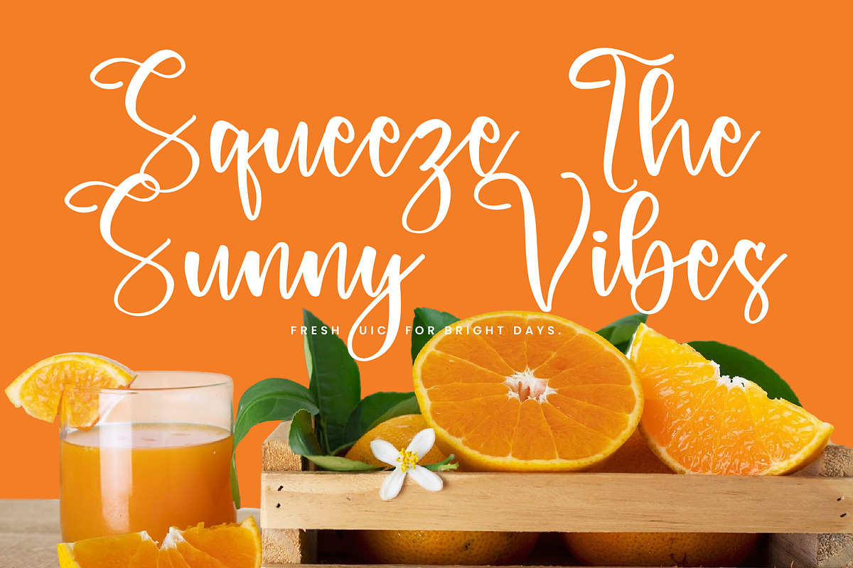 Dreams Pluffy, a Script Font by Integritype Studio (Photo 8 of 15)