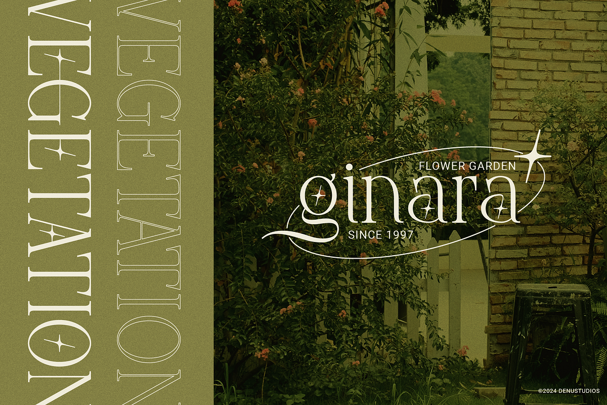 Frieren La Belle | Modern Serif, a Serif Font by Denustudios (Photo 5 of 13)