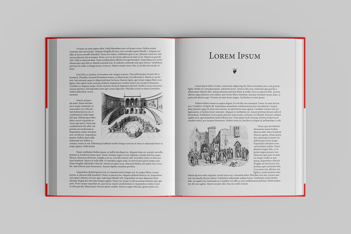 US Letter Book Mockup - 8 views, a Books & Magazine Mockup by Illusiongraphic (Photo 9 of 22)