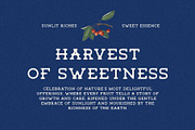 Tigreal Blur, a Serif Font by Craft Supply Co. (Thumbnail 2 of 8)