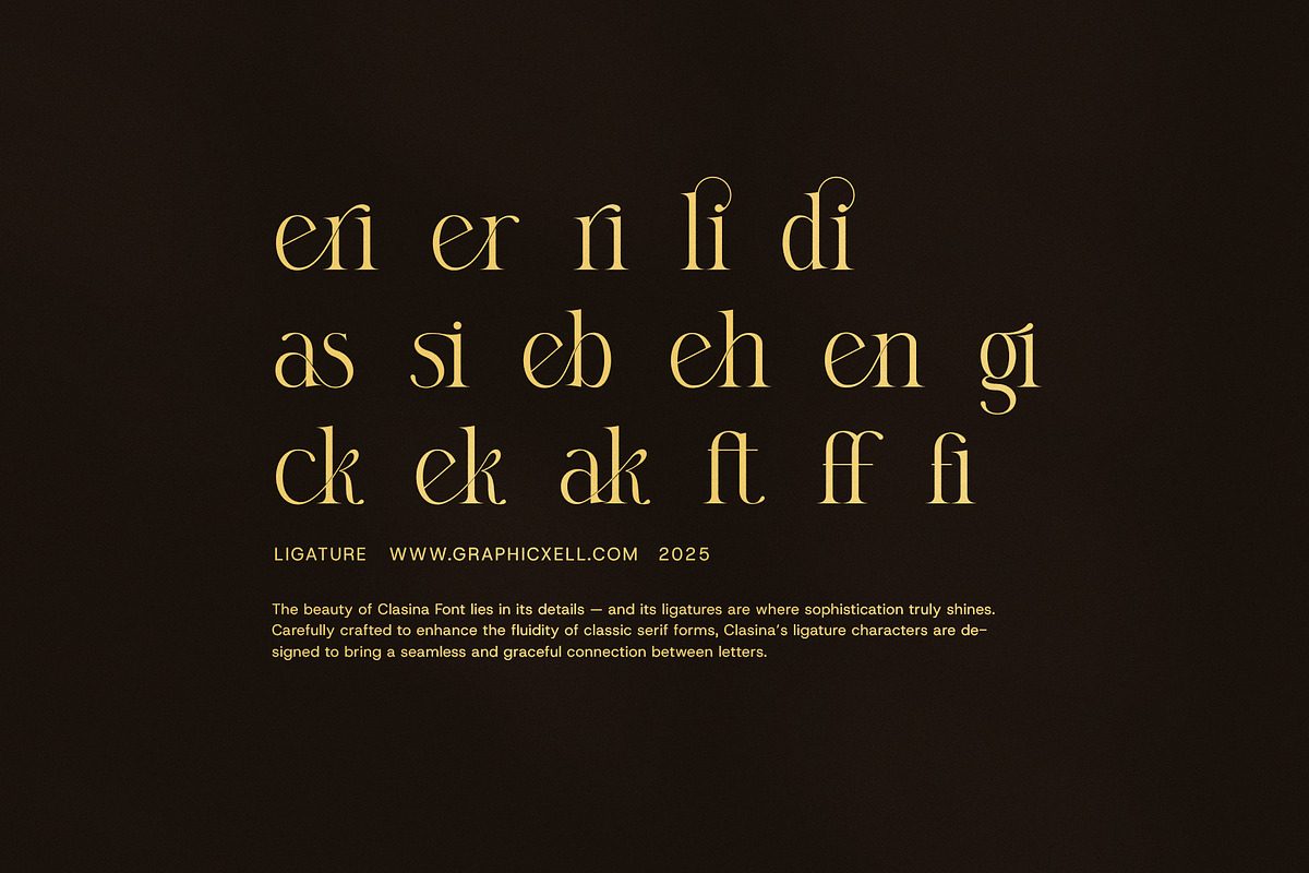 Clasina Elegant Serif Font, a Serif Font by Elegant Font (Photo 8 of 8)