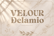 Velour Delamio Font, a Serif Font by Letterhanna Studio (Thumbnail 10 of 11)