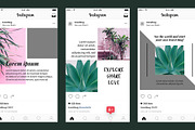 40 Tropical Theme Instagram Pack, a Social Media Template by Uno Bello Design Studio (Thumbnail 5 of 5)