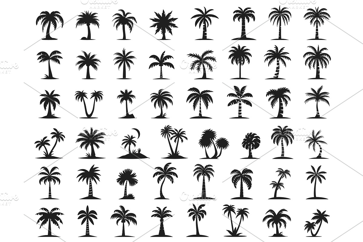 Palms trees icons. Beach palm tree, an Object Illustration by Valerie Bodnar