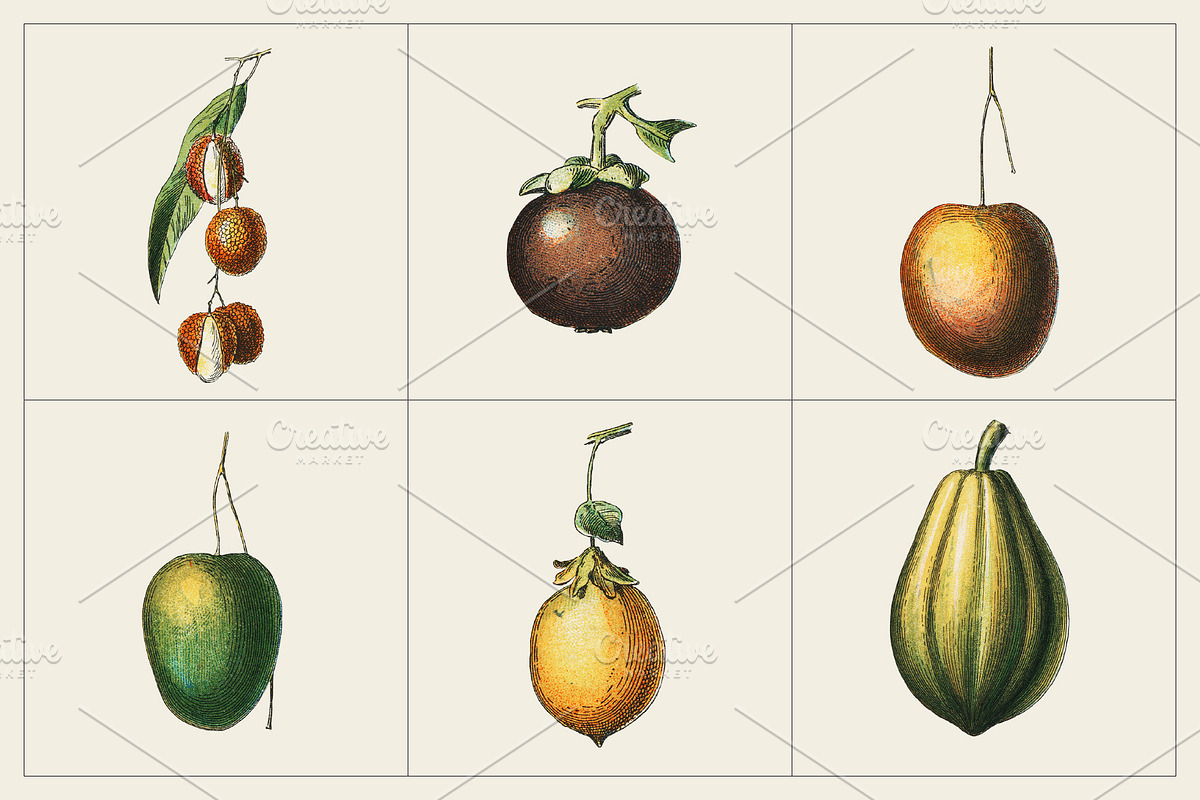 Fruit and Vegetable Art Collection, a Food Illustration by Illusiongraphic (Photo 10 of 14)