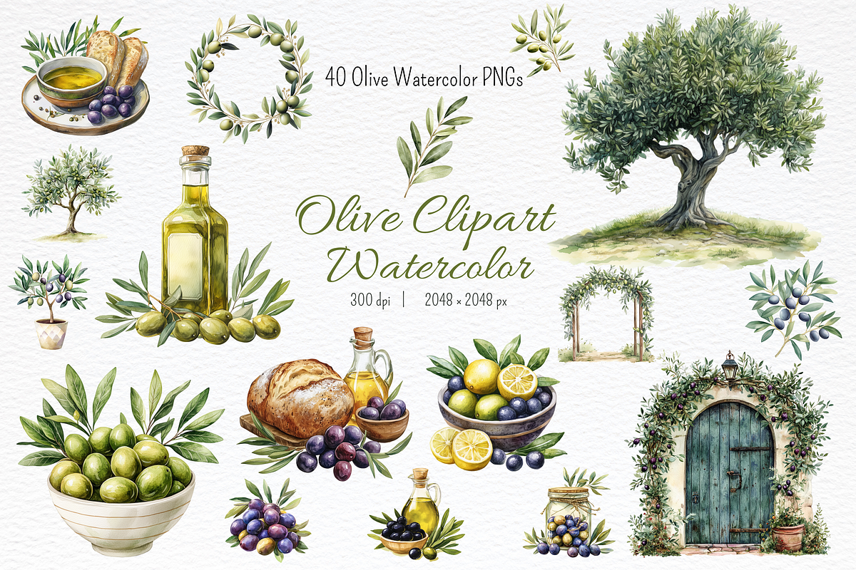 Olive Watercolor Clipart, a Food Illustration by Douce Créativité (Photo 1 of 6)