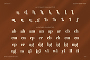 Migillay Elegant Serif Display Font, a Serif Font by Elegant Font (Thumbnail 8 of 8)
