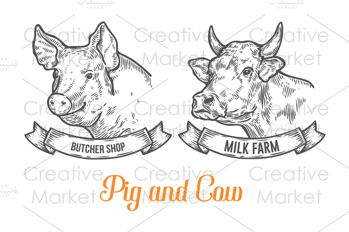 Cow and Pig hand drawn illustration, an Animal Illustration by Sketch Seven Shop (Photo 1 of 3)
