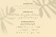 Jump Wings Script Fonts, a Script Font by mahstudios (Thumbnail 12 of 15)