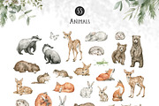 Forest Babies. Wild Animals clipart, an Animal Illustration by Kreker Kate (Thumbnail 10 of 12)