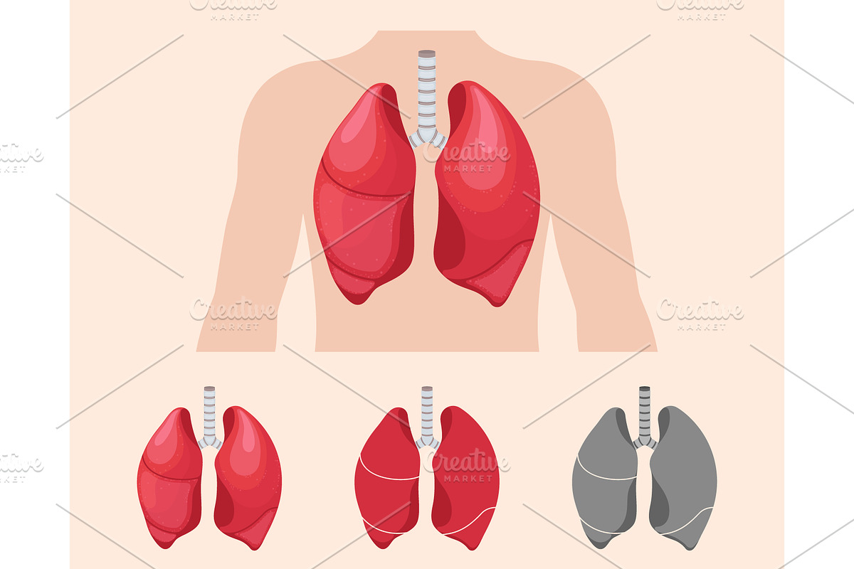Human lungs anatomy, a Healthcare Illustration by Yayasya