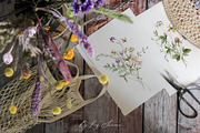 WILDFLOWERS delicate floral clipart, a Person Illustration by long summer (Thumbnail 2 of 12)