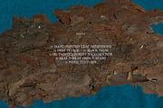 Leaf Imprints, Forest Scans & Paper, an Object Graphic by Purple (Thumbnail 9 of 20)