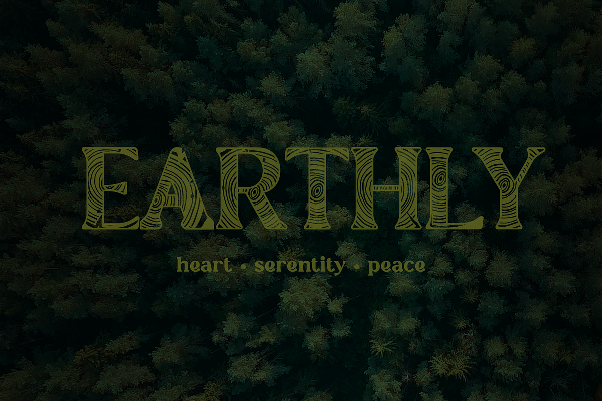 Tree Rings Font, a Sans Serif Font by OMG IT'S LINDZ (Photo 4 of 6)