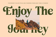 Rusty Drake Bold Serif Display, a Serif Font by timelesstype.co (Thumbnail 11 of 20)