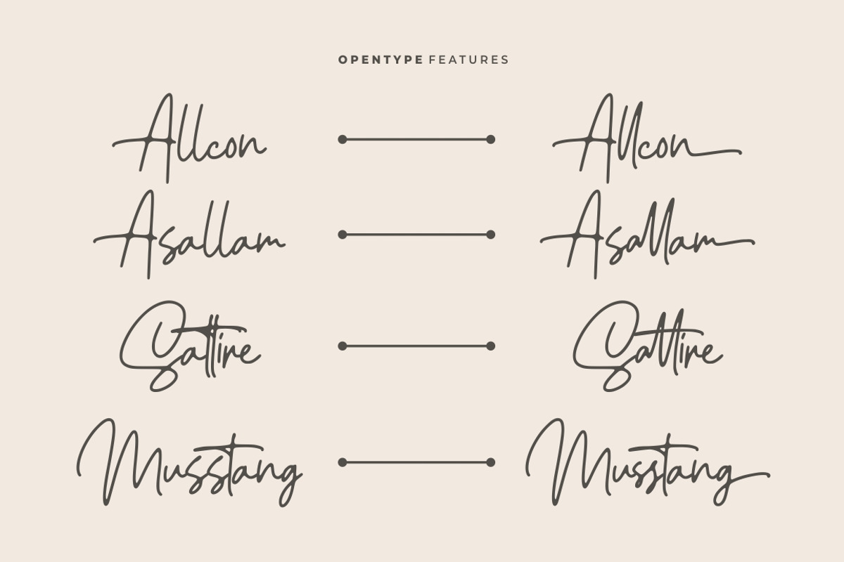 Ellouise - Handwriting Font preview 6
