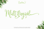 Carelina - Modern Calligraphy, a Script Font by erlosDESIGN (Thumbnail 12 of 12)