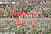 Pineapple Compilation, an Illustration by Zelri (Thumbnail 5 of 5)