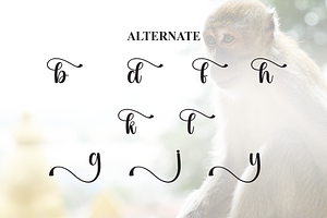 Monkey Script Font