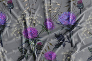 Dandelion wildflowers patterns set, a Seasonal Illustration by FleurArt (Thumbnail 11 of 11)