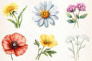 Watercolor Wild Flower Clipart, an Illustration by Libby Wishes (Thumbnail 5 of 7)