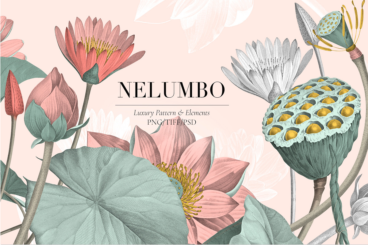 Nelumbo, Luxury Pattern & Motifs, a Pattern Graphic by TSTUDIO (Photo 1 of 9)