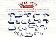 Designers font Bundle 90%OFF, a Script Font by BlackCatsMedia (Thumbnail 34 of 46)