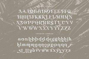 Debrian Decorative Serif